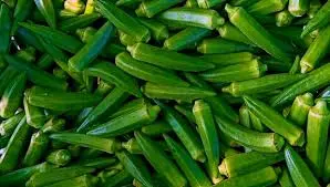 okro.webp