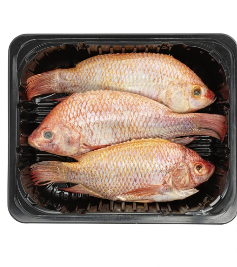 red tilapia.....webp