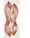 red tilapia.webp