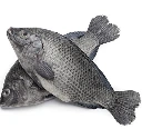 tilapia black.webp