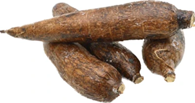 cassava....webp