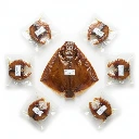 coverpot raie (3).webp