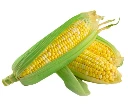 Screenshot 2026-08-08 165830.webp