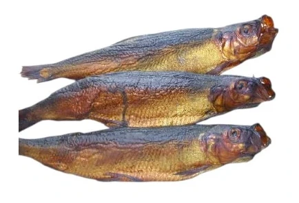 Screenshot 2026-08-08 171715.webp