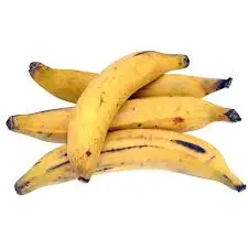 plantain yellow.webp