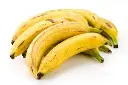 Bananes plantains mures.webp
