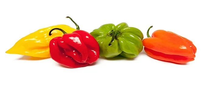 Mélange de piments jamaïcains et de piments habaneros très forts (sac de 1 lb)