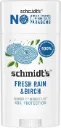 Schmidt's Déodorant en bâtonnet, déodorant naturel pour homme et femme, pluie fraîche et bouleau, sans sels d'aluminium et parabènes, 75 g