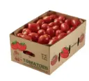 Fresh tomatoes / 25lb box....