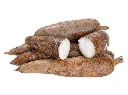 Box of fresh whole Yuca Root , Yucca /Cassava / Manioc/ Mandioca (about 38lb)