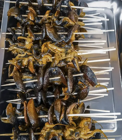 Escargots mijotés  en sauce tomate 2 plateaux