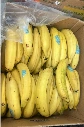 Plantain (banane cochon, banane farine, banane jaune en boîte, environ 40 lb)