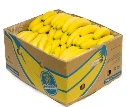 Bananes biologiques fraîches, caisse de 40 lb (18,14 kg)