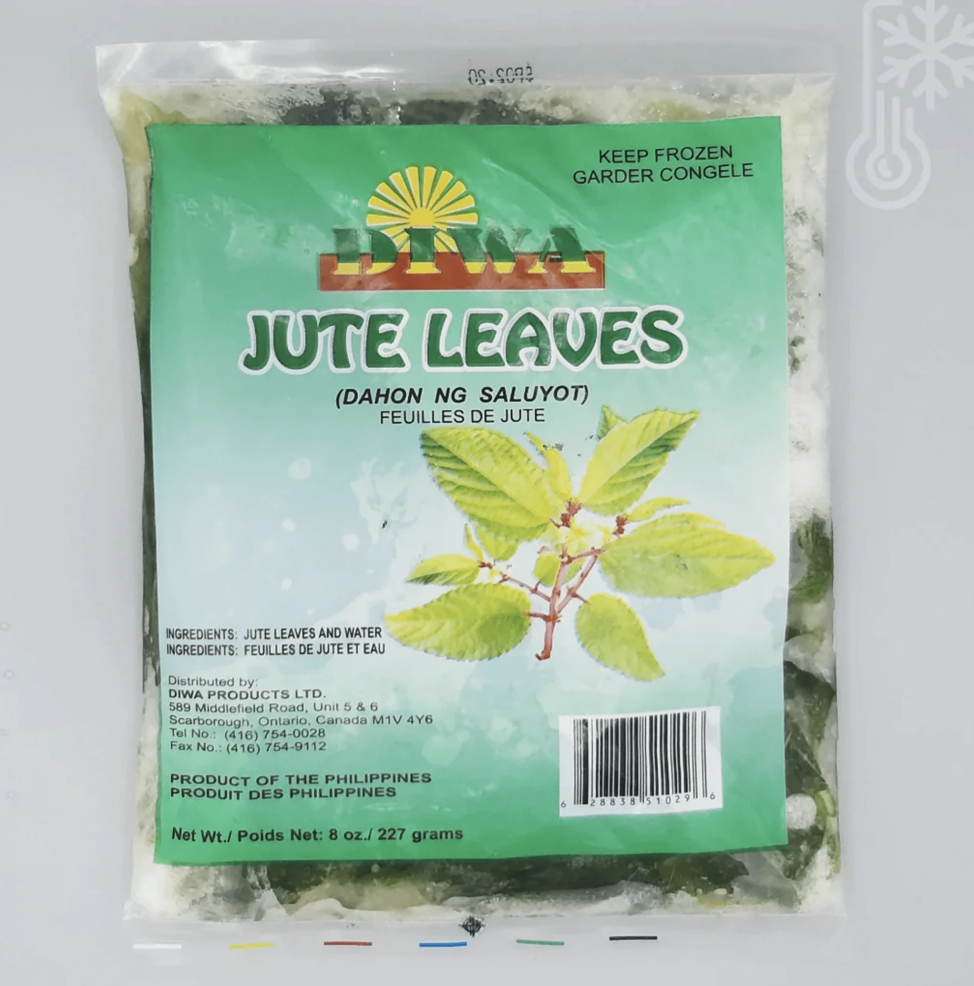 Feuilles de jute (Molokhia)