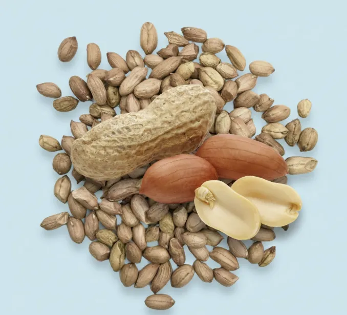 Arachides du village en gousse 500g