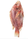 Whole red tilapia (average weight of 1.4 kg per package) in packages of 3 or 4, whole, scaled, boneless, random weight