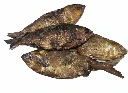 Whole dried bonga (6 to 8 in a package of approximately 200g)