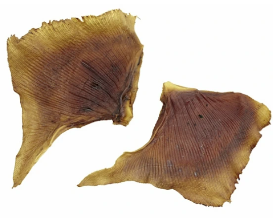 Poisson fumé Raie pêchée dans la nature, nettoyée, emballée en paquet de 500 g (« cover pot »)