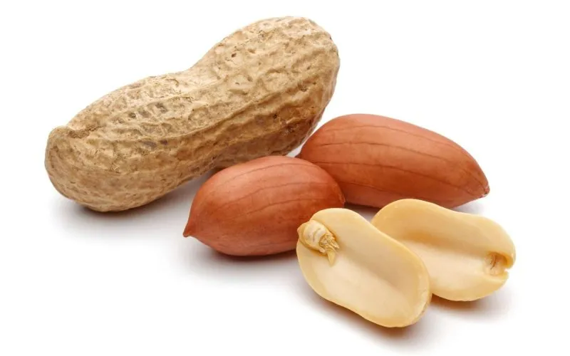 Arachides/Peanuts (Arachides du village) 5kg (Rouge)
