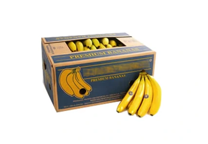 Fresh bananas,box of about 50 lb (Unripe (Green) / Unripe (green))