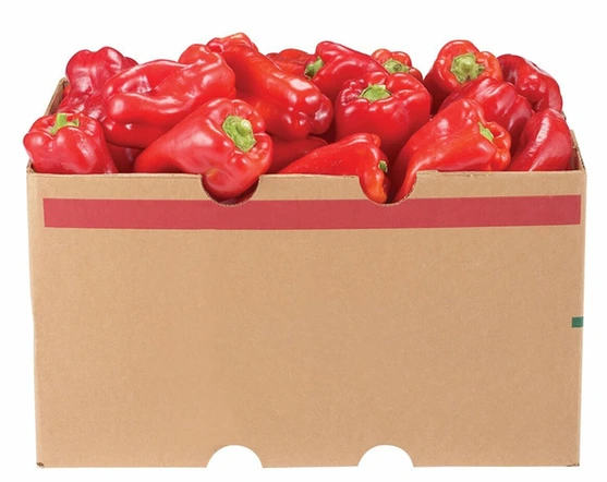 Fresh Bell Peppers, 11 lb (5 kg) Case