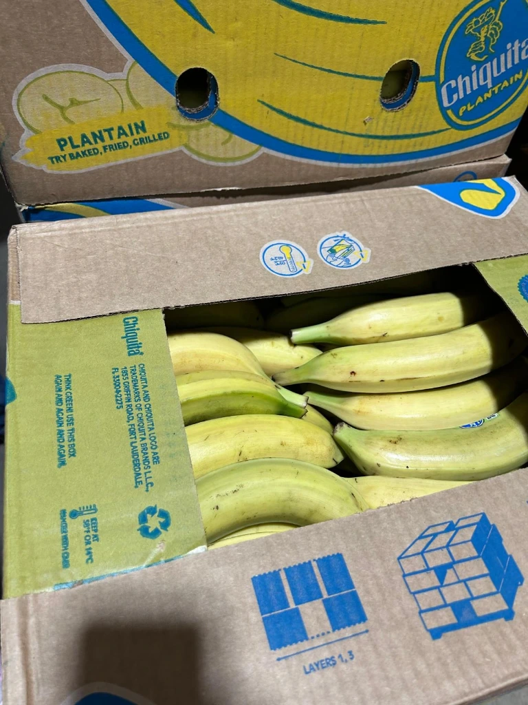 Plantain  en boîte, environ 40 lb
