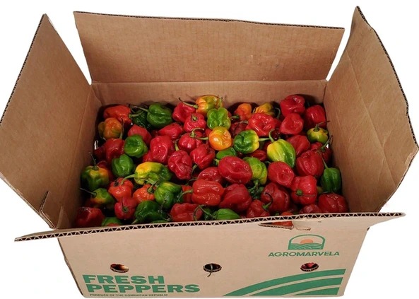 Mélange de piments jamaïcains et habanero frais et piquants (boite de 8lbs)