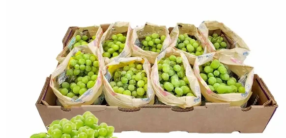 Green grapes/raisins (full crate: 19 lb)