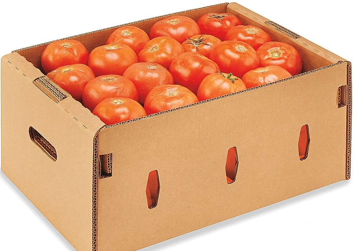 Tomates fraîches ordinaires / boîte de 20 lb