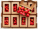Case of 8 boxes of sweet strawberries / Caisse de 8 boîtes de fraises sucrées